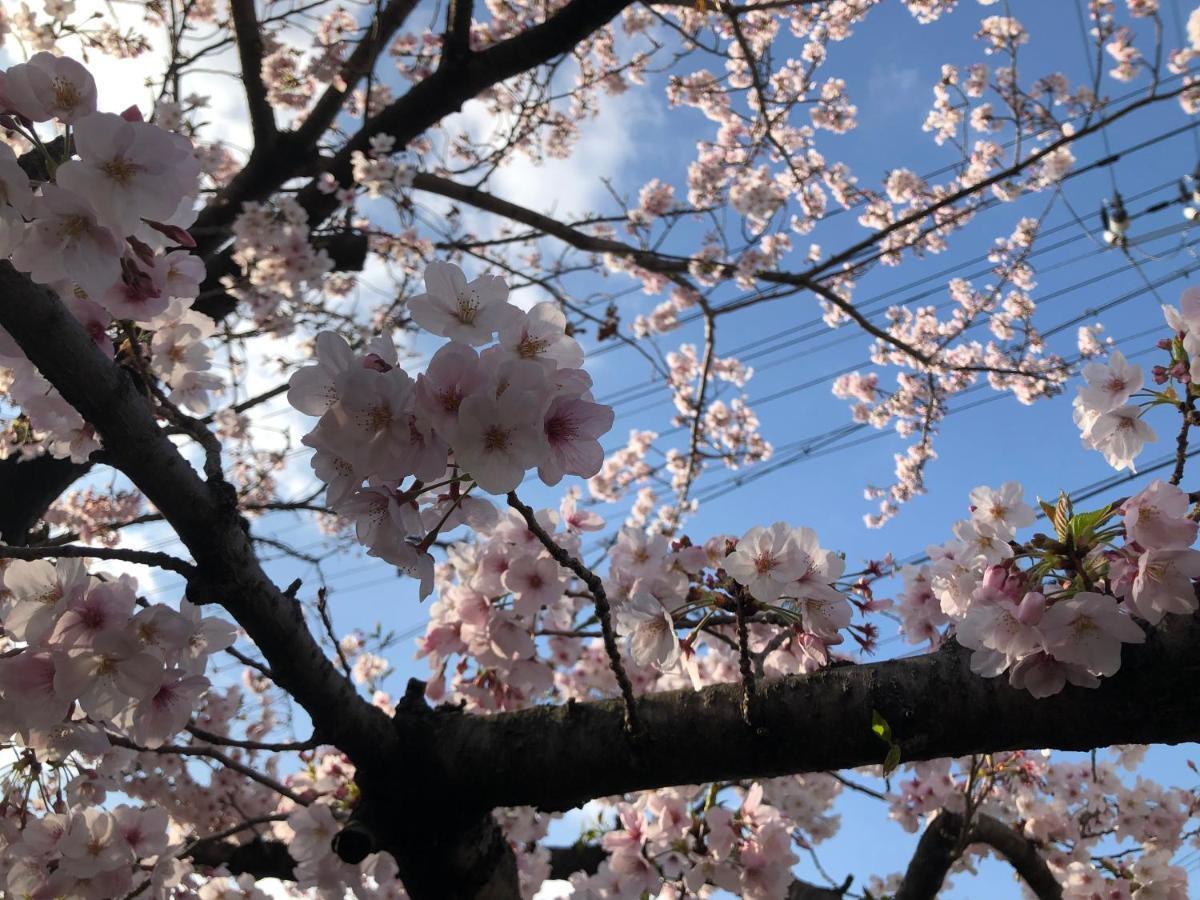 오사카 Masaru House 빌라 외부 사진
